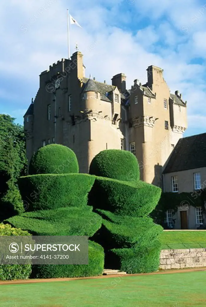 crathes castle, deeside, aberdeenshire with large yew topiary (known as the eggcups) leading to lawns and garden