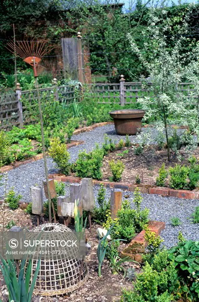 potager garden with brick edged beds, slate gravel paths, woven basket plant protector, old rusty rake, vegetables, buxus sempervirens (box) hedging, wooden fence, fruit tree, wire for training plants & old rusty water container. bryansground.