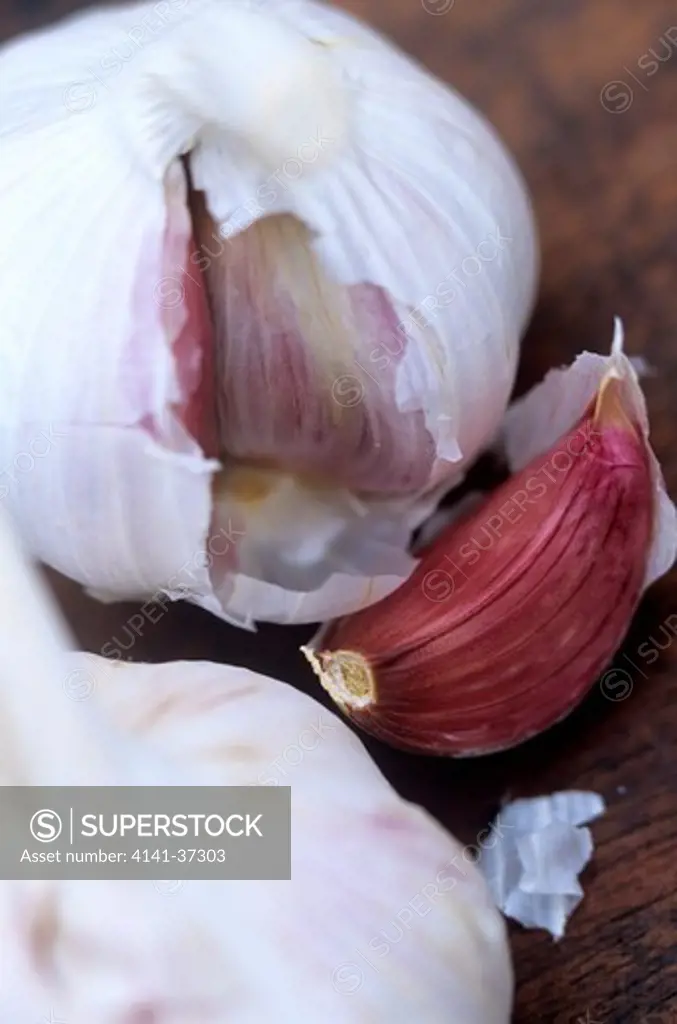 garlic (allium sativum). bulb with papery skin & crimson coloured cloves. has a multitude of medicinal & culinary uses including possible anti-cancer properties, beneficial effects for the blood & heart system & as an antiseptic agent. in cuisine it is effective for flavouring.