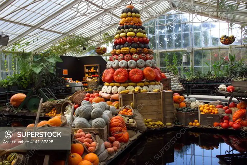 pumpkin and squash display in glasshouse