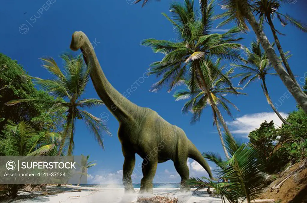 digital composite of an adult brachiosaurus altithorax, a gigantic sauropod herbivorous dinosaur from the middle to late jurassic period, striding on a beach in what is today north america. date: 18.11.2008 ref: zb377_124722_0032 compulsory credit: nhpa/photoshot
