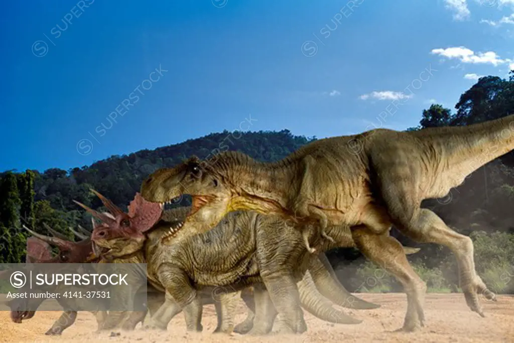 digital composite of an adult tyrannosaurus rex, a 12.5 meter-long carnivorous theropod dinosaur from the late cretaceous period, attacking a herd of triceratops horridus, a large three-horned ceratopsian dinosaur from the same time frame, in what is today western north america. date: 18.11.2008 ref: zb377_124722_0039 compulsory credit: nhpa/photoshot