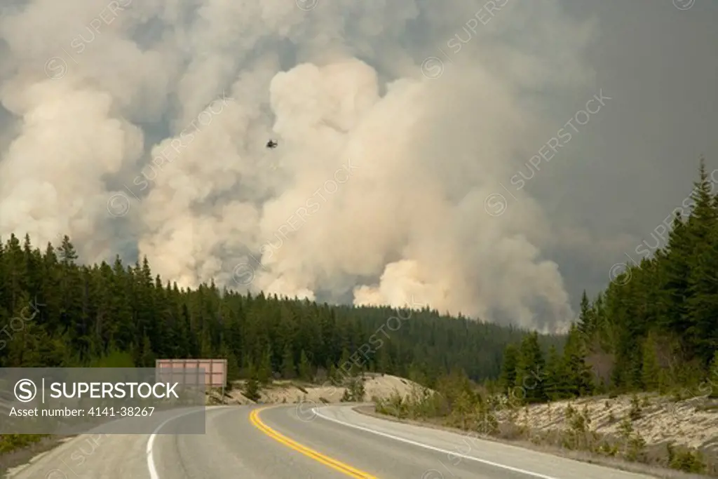 forest fire - controlled burn june 2009 with fire setting helicopter, saskatchewan valley, banff national park, alberta, canada 