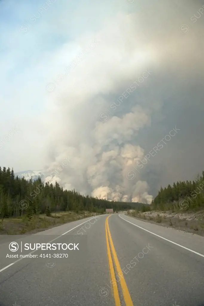 forest fire - controlled burn june 2009, saskatchewan valley, banff national park, alberta, canada 