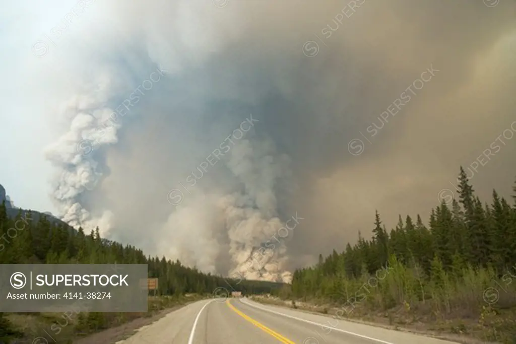 forest fire - controlled burn june 2009, saskatchewan valley, banff national park, alberta, canada 