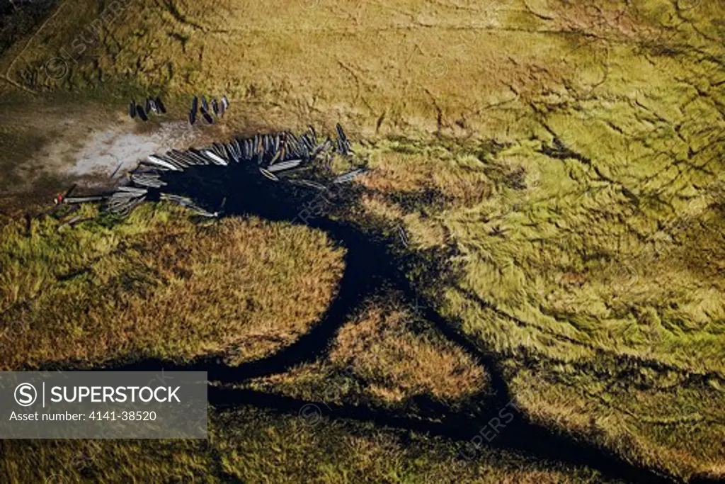 aerial view of mokoros in the okavango delta. hundreds of years ago, the bayei people came to the okavango delta bringing with them, their traditional mode of transport, the mokoro, a dug-out canoe made from a large straight tree. the mokoro is ideally suited as transport in the delta as in can move quietly through shallow water, being pushed by the boatman using a long pole, moving along the narrow channels. botswana date: 18.12.2008 ref: zb538_126466_0010 compulsory credit: nhpa/photoshot
