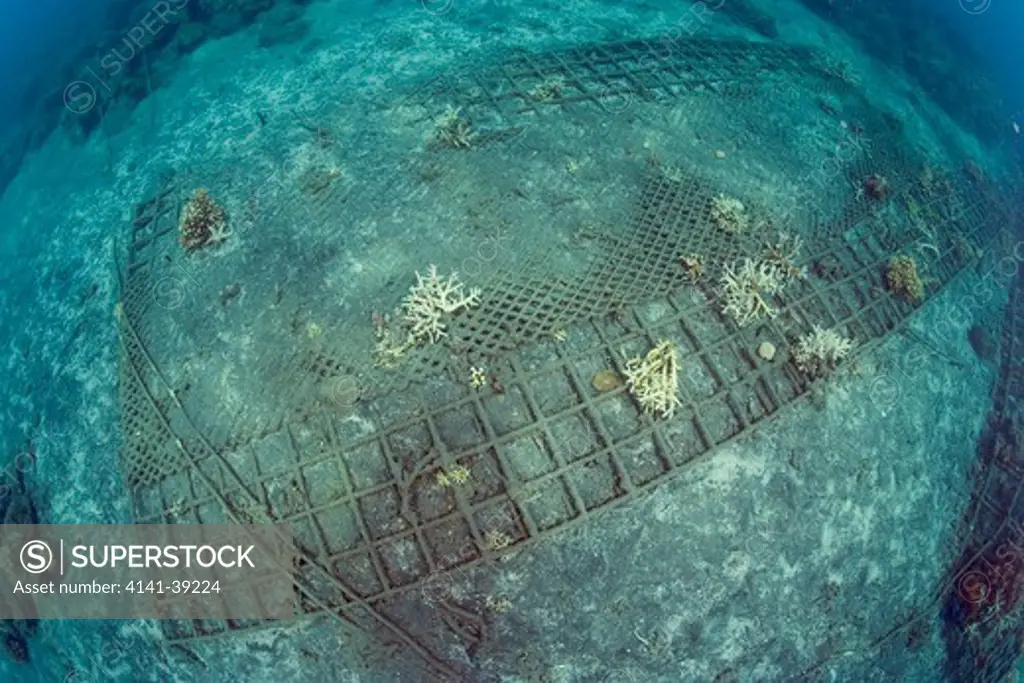 structure of bio-rock, method of enhancing the growth of corals and aquatic organisms, in taman sari bali cottages, karang lestari pemuteran project, desa pemuteran, singaraja, bali island, indonesia, pacific ocean date: 22.07.08 ref: zb777_117071_0023 compulsory credit: oceans-image/photoshot 