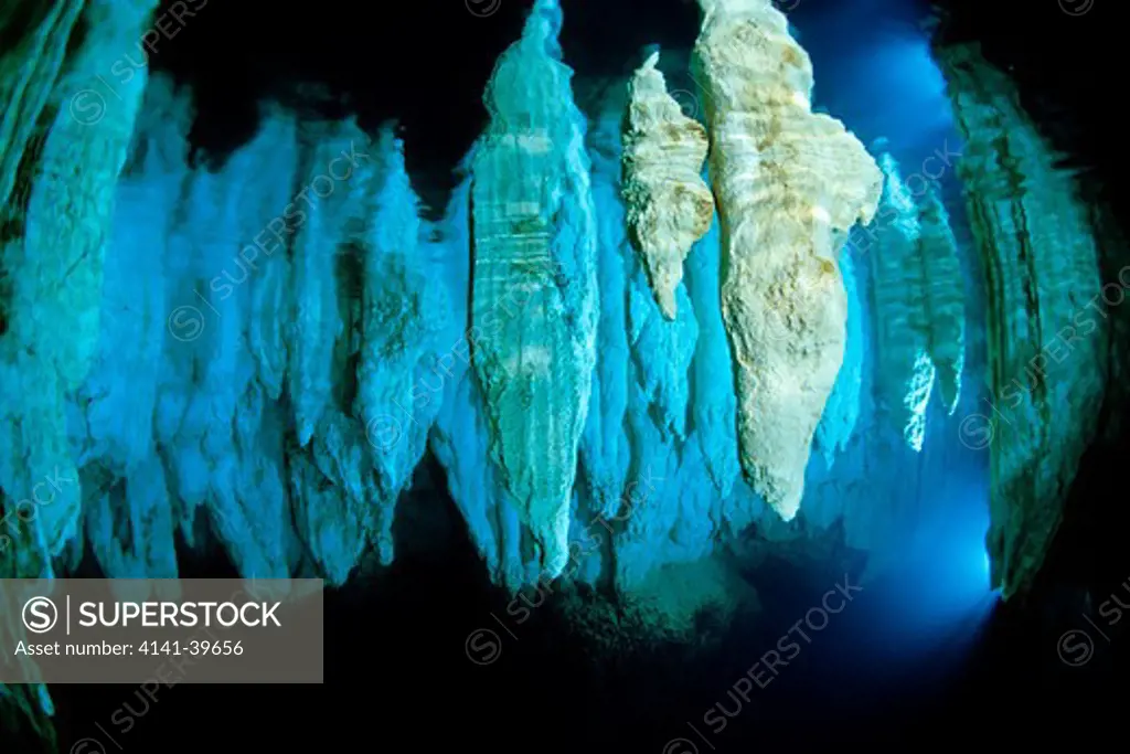 chandelier cave, palau (belau), micronesia, pacific ocean date: 23.07.08 ref: zb777_117155_0024 compulsory credit: oceans-image/photoshot 