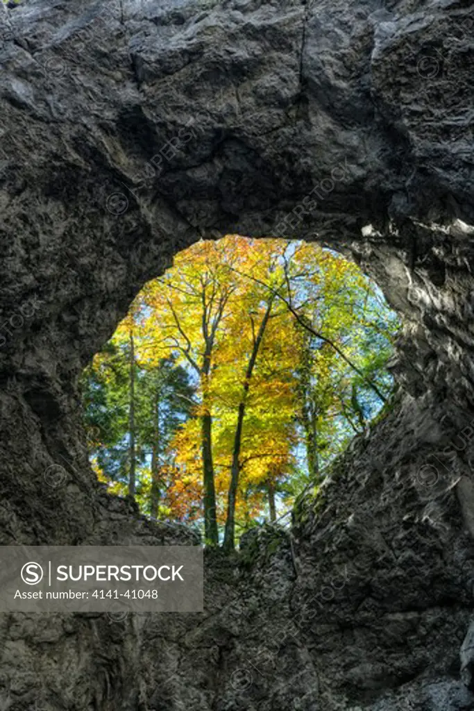 collapsed cave roof revealing autumn foliage, zelska jame cave system, rakov skocjan karst gorge, notranjska, slovenia date: 06.11.2008 ref: zb812_123820_0025 compulsory credit: nhpa/photoshot