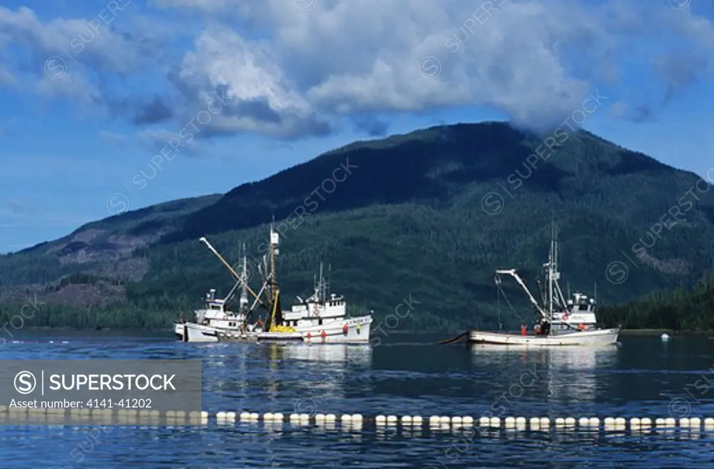 fishing boats lay out net for chum salmon near ketchikan, alaska