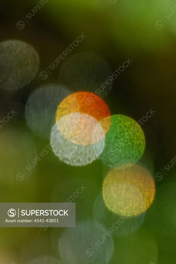 light dispersion in water drops, washington, united states
