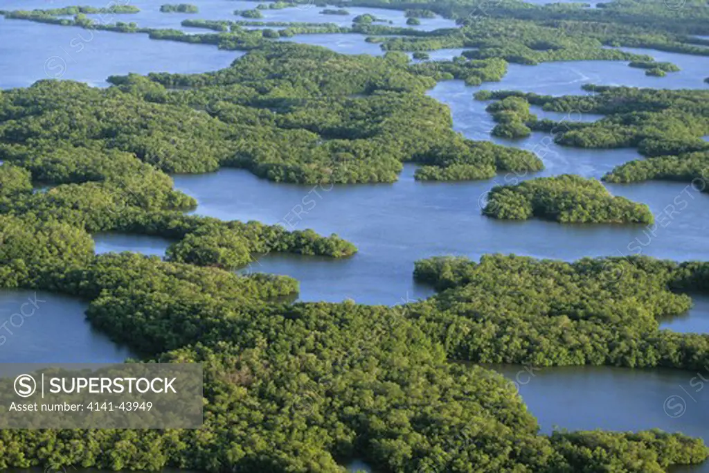 mangrove islands, aerial, ten thousand islands national wildlife refuge, florida, united states