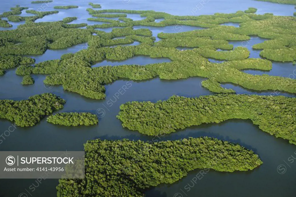 mangrove islands, aerial, ten thousand islands national wildlife refuge, florida, united states