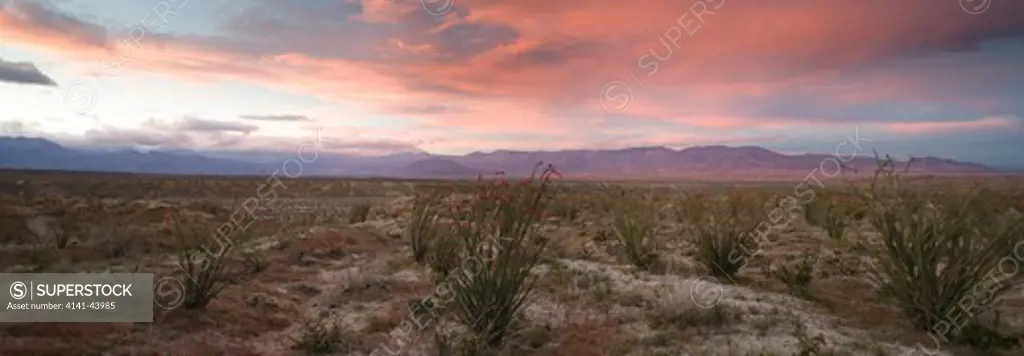 sonoran desert, anza-borrego desert state park, california, united states