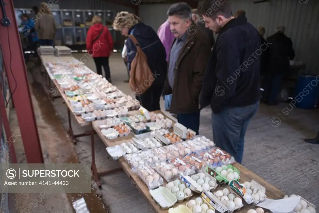 market prospective purchasers inspecting sale items clutches of eggs from chickens, geese and ducks hatherley, devon 2009