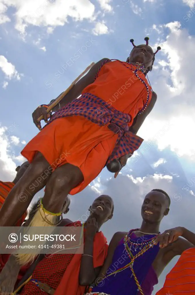 maasai warriors, or moran, leap high during a traditional dance routine. the maasai are among africa's most colourful and tradtional tribes people and live in kenya and tanzania in east africa. march 2008.