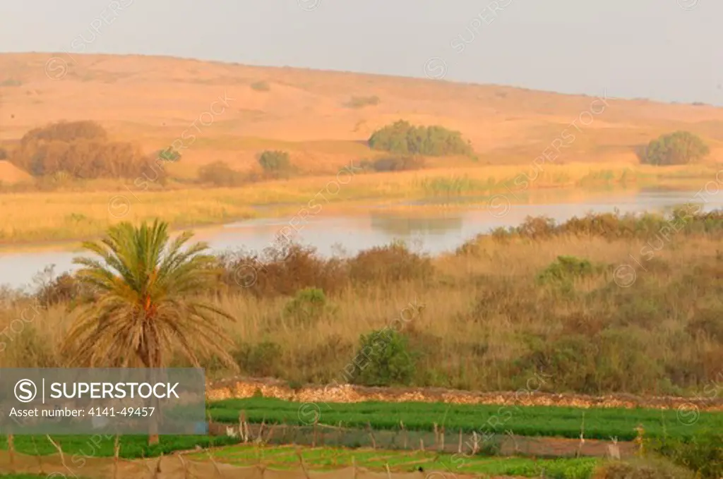 massa river with crop fields. souss massa national park. morocco march 