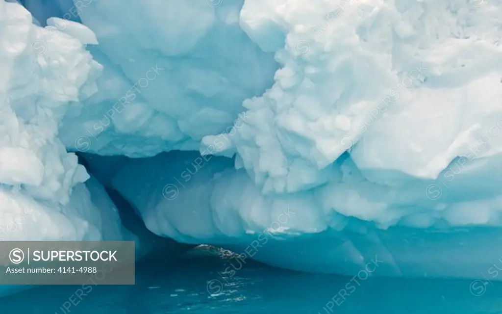iceberg, antaractica