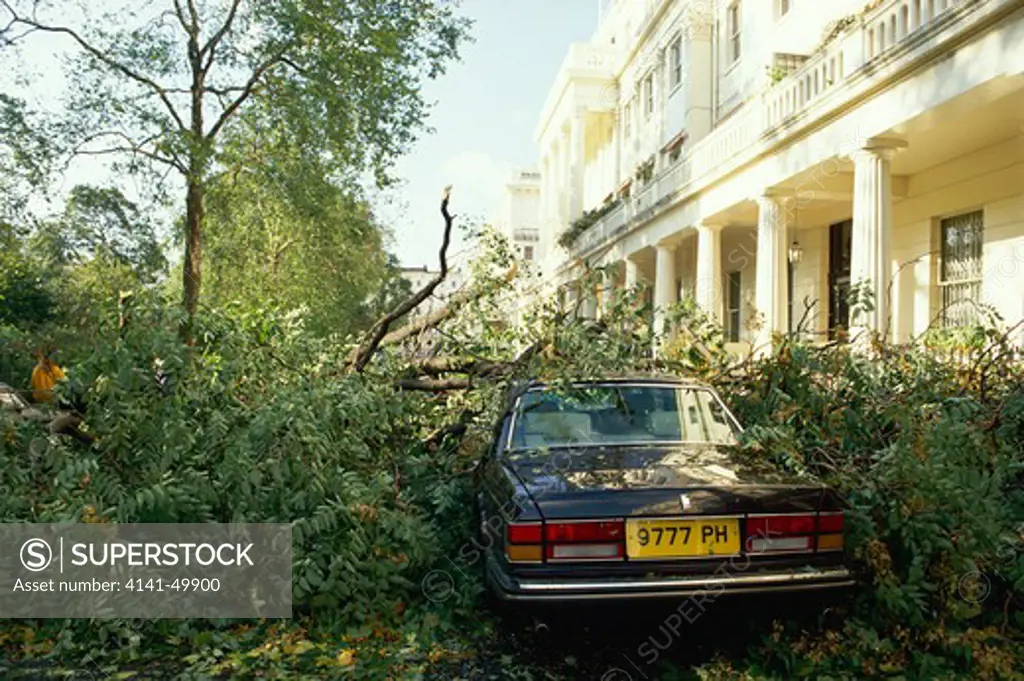 bentley amongst fallen trees, after hurricane of october 1987, belgravia, london, england 