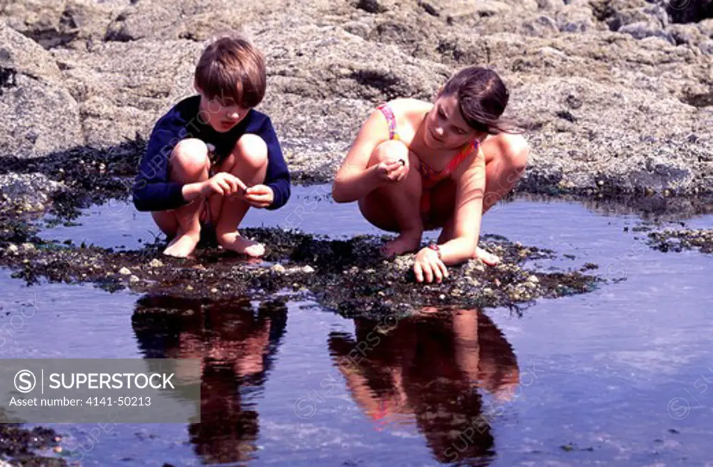 Children investigating marine animals living in and around a rock (tide) pool in the intertidal zone (littoral zone), Low Tide, Scotland, June 2000
