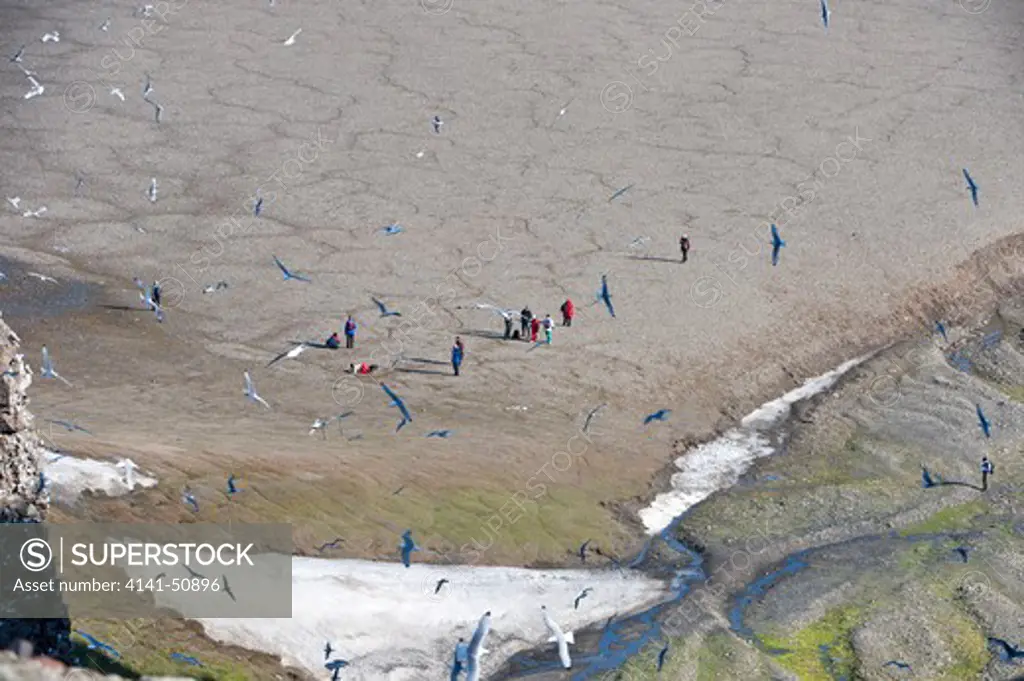 Sea Cliffs, Sea Bird Colonies And Tourists On The Beach, South West Coast Of Spitsbergen, Svalbard, Arctic Norway.