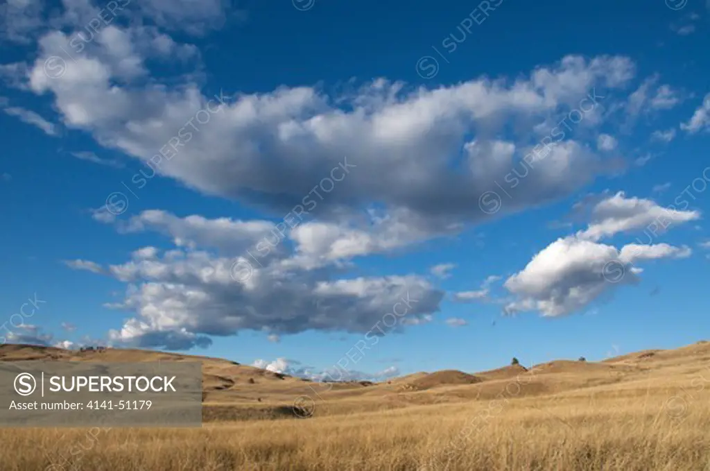 Scenic Of Prairie Grasslands And Clouds In Wind Cave National Park, South Dakota.