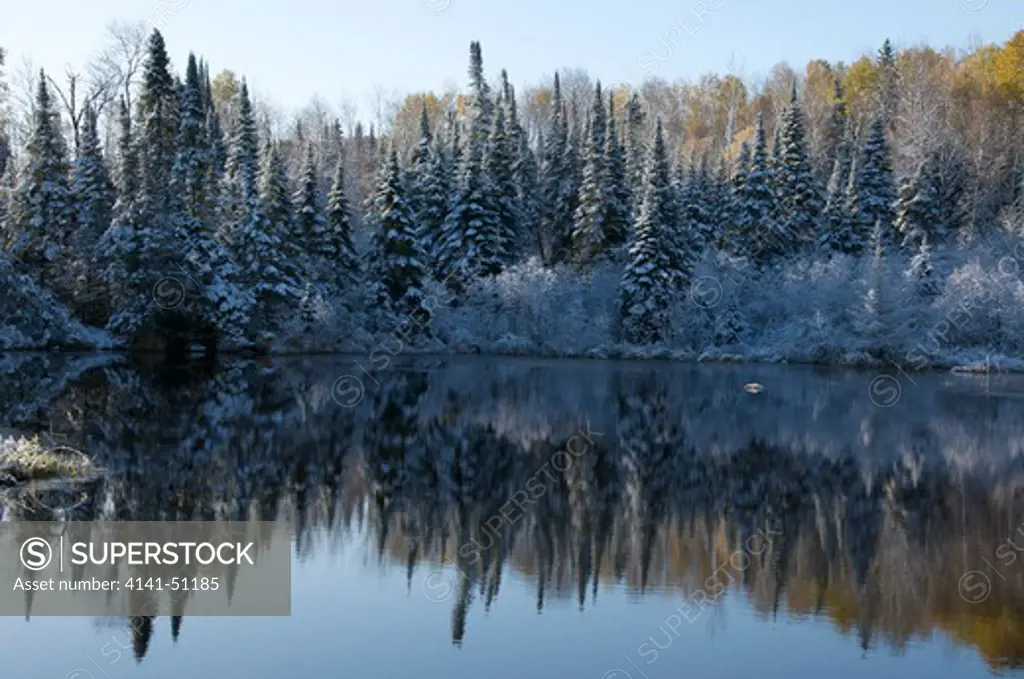 Scene Of Autumn Pond With First Snows On Aspen And Spruce Trees In Quetico Provincial Park, Ontario, Canada.