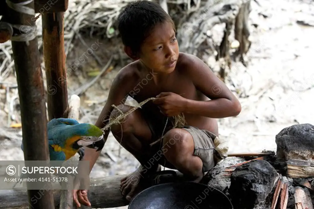 Warao Child Playing With A Blue And Yellow Parrot Ara Ararauna, Indian Living In Orinoco Delta, Venezuela