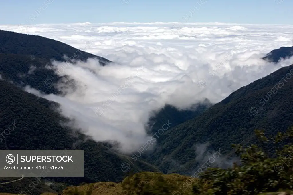 Tropical Forest, Manu National Park In Peru