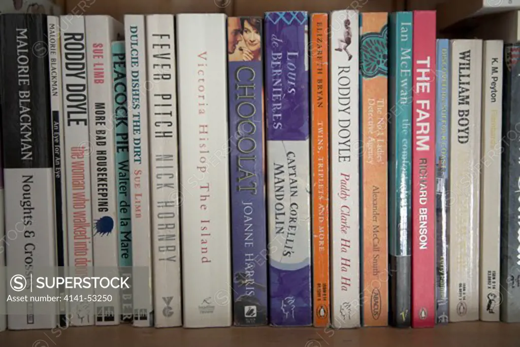 Modern Novels On A Bookshelf