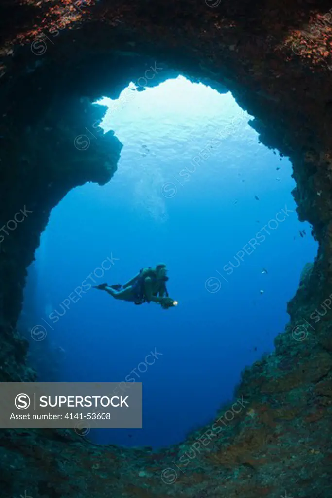 Diver In Blue Hole Cave, Micronesia, Palau