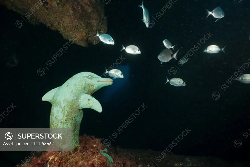 Dolphin Sculpture In Cave, Dofi North, Medes Islands, Costa Brava, Mediterranean Sea, Spain