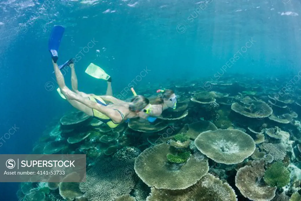 Two Women Snorkel Over Reef, Ellaidhoo House Reef, North Ari Atoll, Maldives