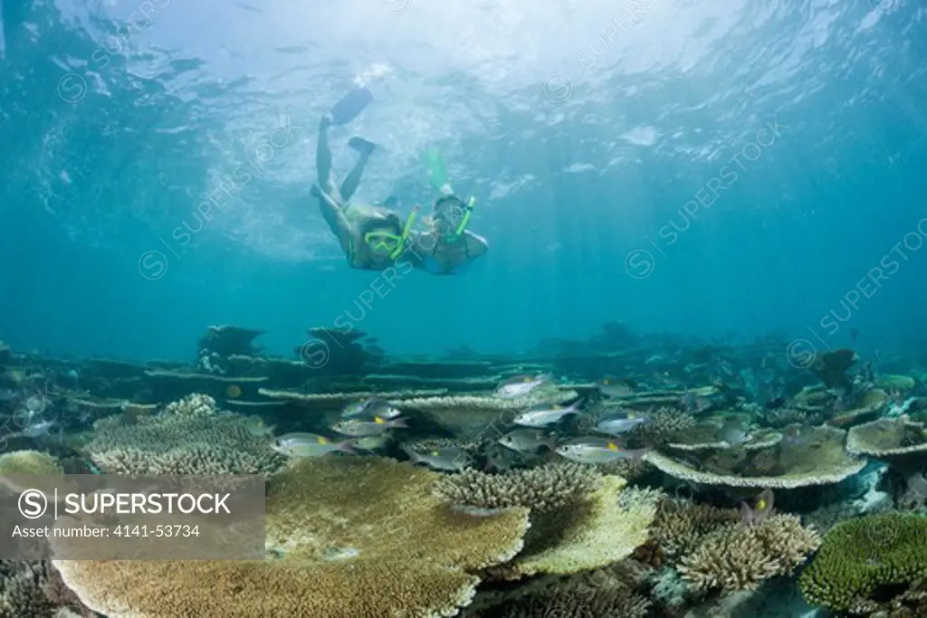 Two Women Snorkel Over Reef, Ellaidhoo House Reef, North Ari Atoll, Maldives