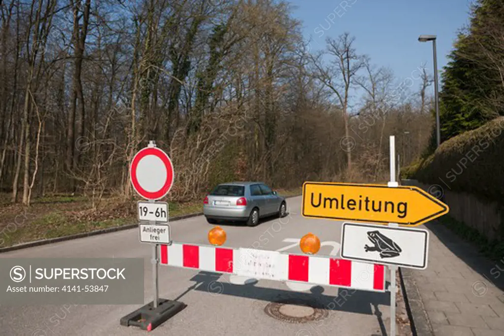Roadblock For Toad Migration, Bufo Bufo, Munich, Bavaria, Germany