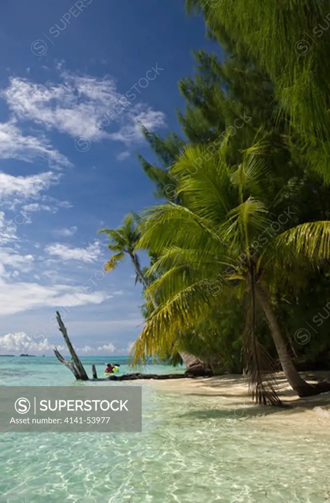 Palm-Lined Beach At Palau, Micronesia, Palau