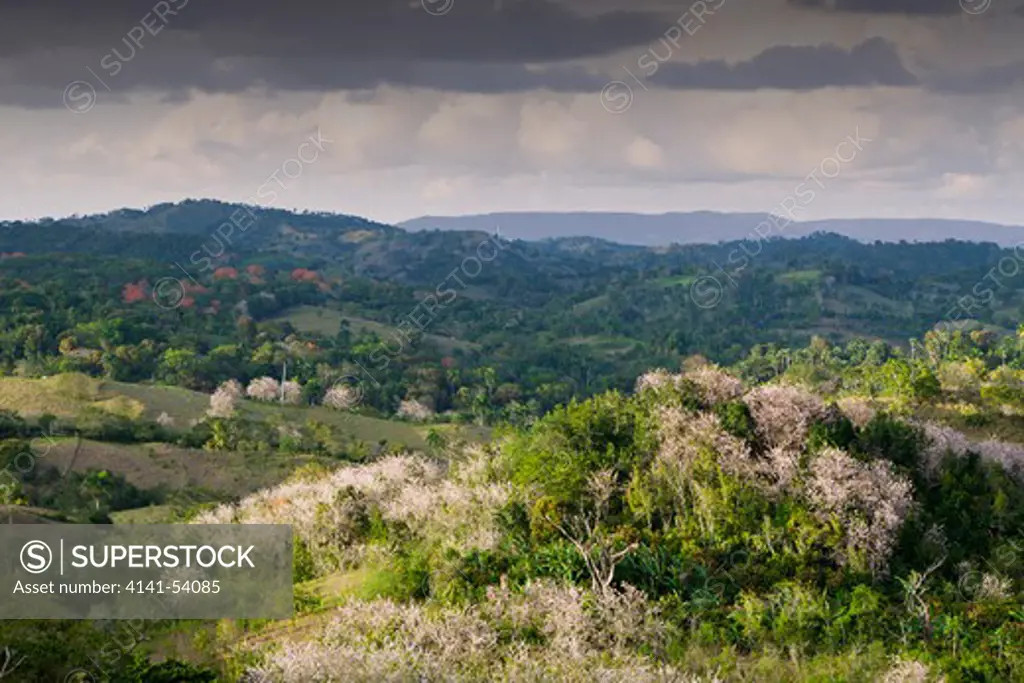 Hills In The Outback, Punta Rucia, Dominican Republic