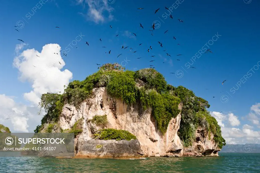 Bird Island La Cacata, Los Haitises National Park, Dominican Republic