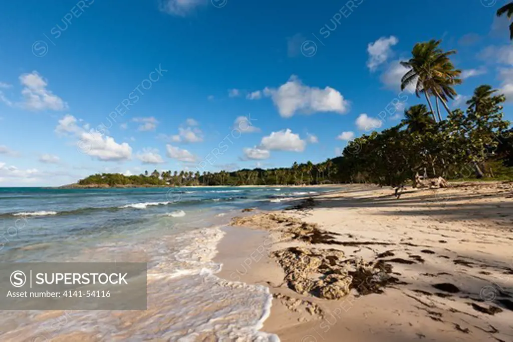 Playa Rincon Beach Near Las Galeras, Samana Peninsula, Dominican Republic