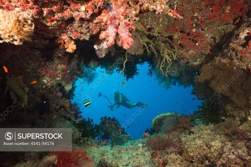 Scuba Diver Behind Swimthrough, Namena Marine Reserve, Fiji