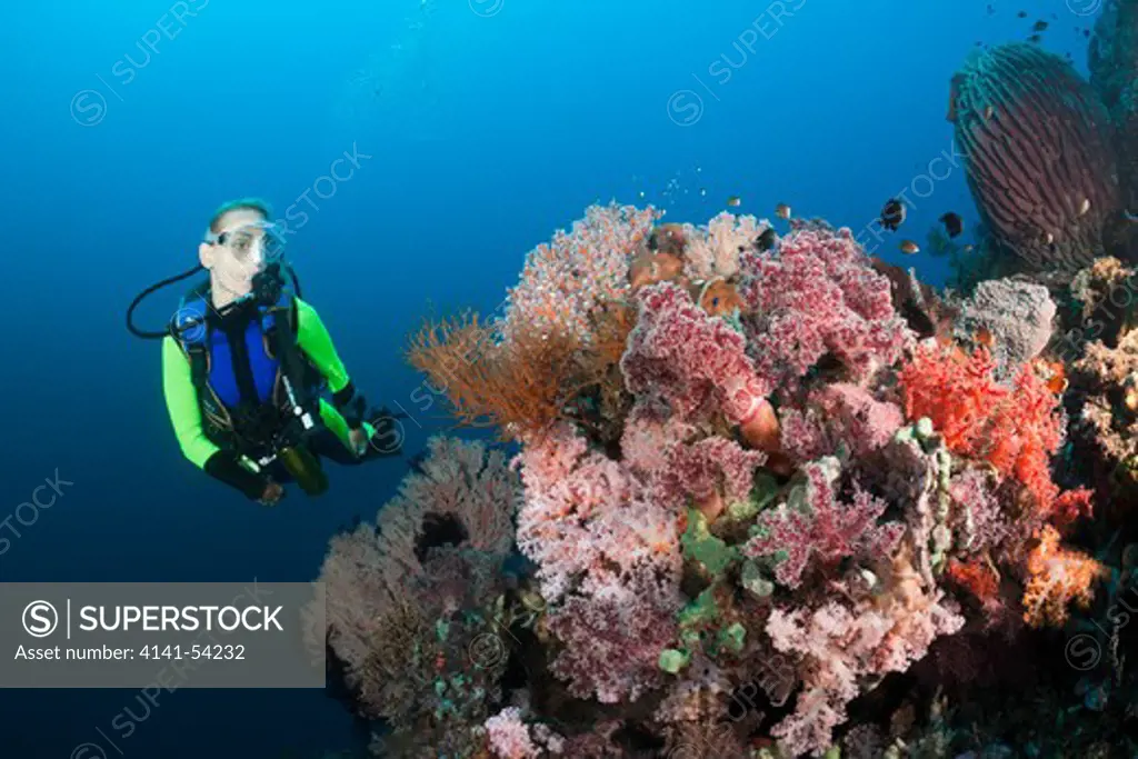 Scuba Diving At Bali, Alam Batu, Bali, Indonesia
