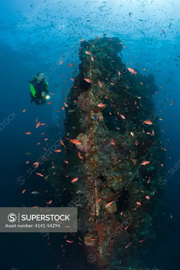 Scuba Diver At Liberty Wreck, Tulamben, Bali, Indonesia