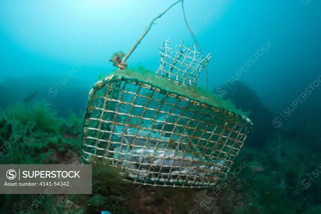 Fish Trap In Reef, Cap De Creus, Costa Brava, Spain