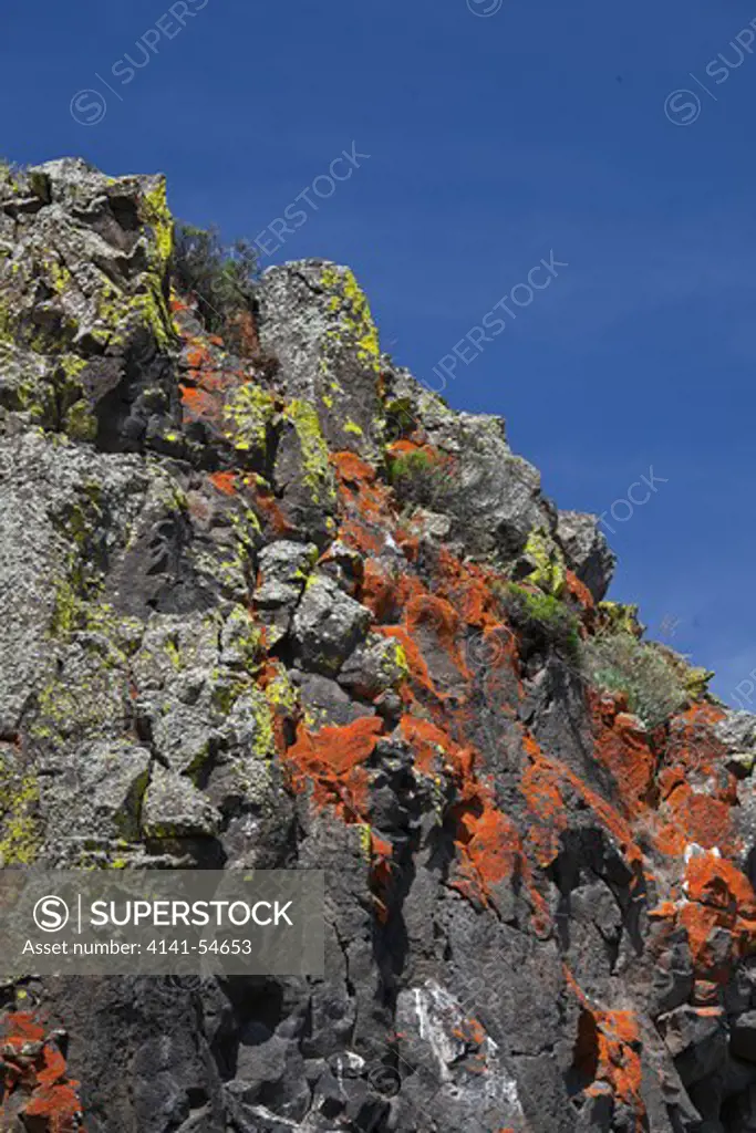 Lichen-Covered Basalt Cliffs In The Whiskey Dick Unit Of L. T. Murray Wildlife Area (Washington State Department Of Natural Resources), Whiskey Dick Mountain Near The Columbia River, Washington State, Usa, May
