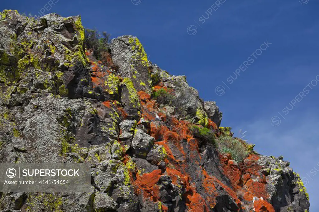 Lichen-Covered Basalt Cliffs In The Whiskey Dick Unit Of L. T. Murray Wildlife Area (Washington State Department Of Natural Resources), Whiskey Dick Mountain Near The Columbia River, Washington State, Usa, May