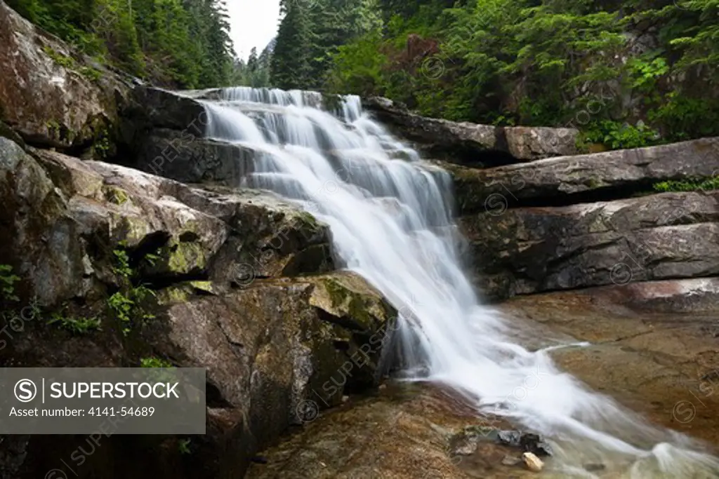 Denny Creek Falls Steeply Over Small Waterfalls And Into Lovely Pools, Mt. Baker-Snoqualmie National Forest, Washington State, Usa