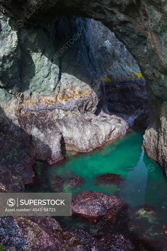 Tidal Channel Under Arch In The Sea Stacks Of Point Of Arches, Olympic National Park, Washington State, Usa, June, Point_Of_Arches-360