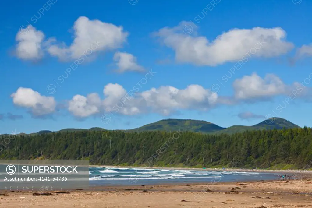 Looking North Along Shi Shi Beach From Willoughby Creek, With The Makah Reservation Distant, Olympic National Park, Washington State, Usa, June, Point_Of_Arches-250