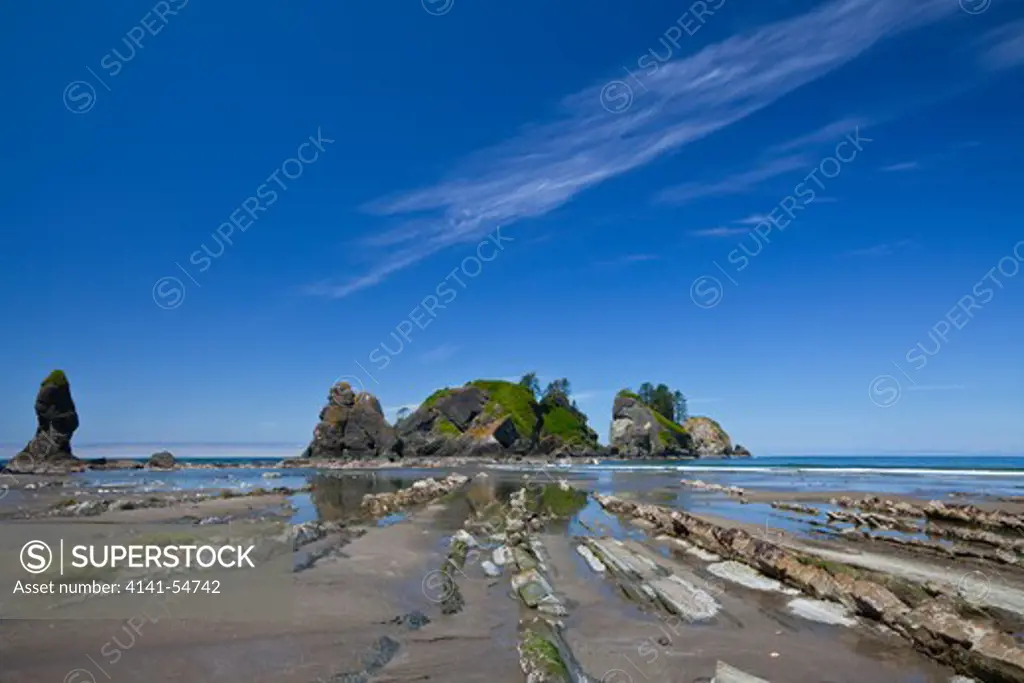Low Tide Exposing More Of The Rocks At Point Of Arches, Olympic National Park, Washington State, Usa, June, Point_Of_Arches-237