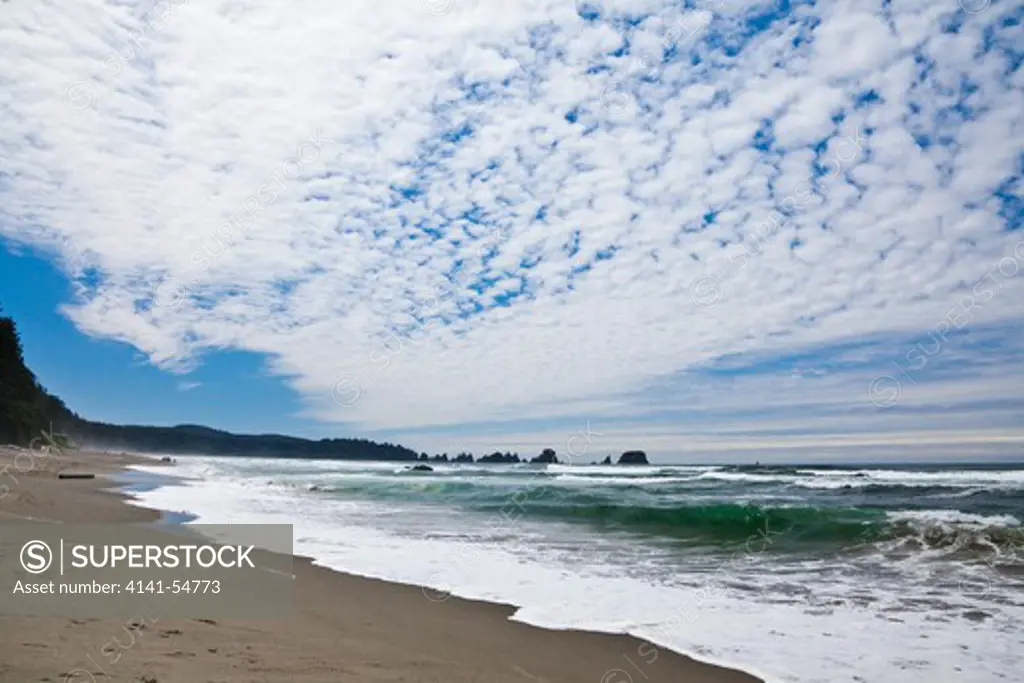Shi Shi Beach, A Beautiful Backpacking And Hiking Beach Along The Pacific Ocean In Olympic National Park, Washington State, Usa, June, Point_Of_Arches-1